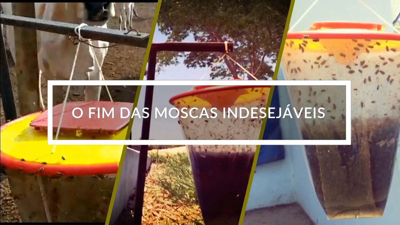 Vídeo promocional